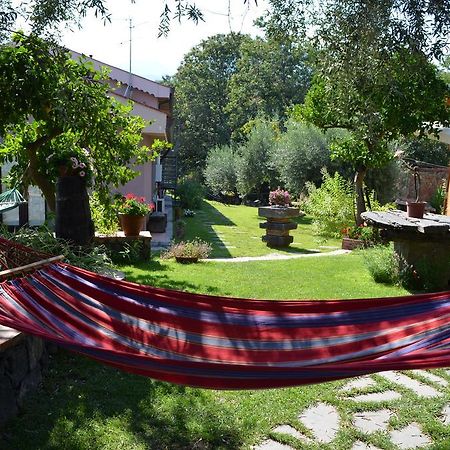 Le Case Di Bacco Santa Venerina Værelse billede