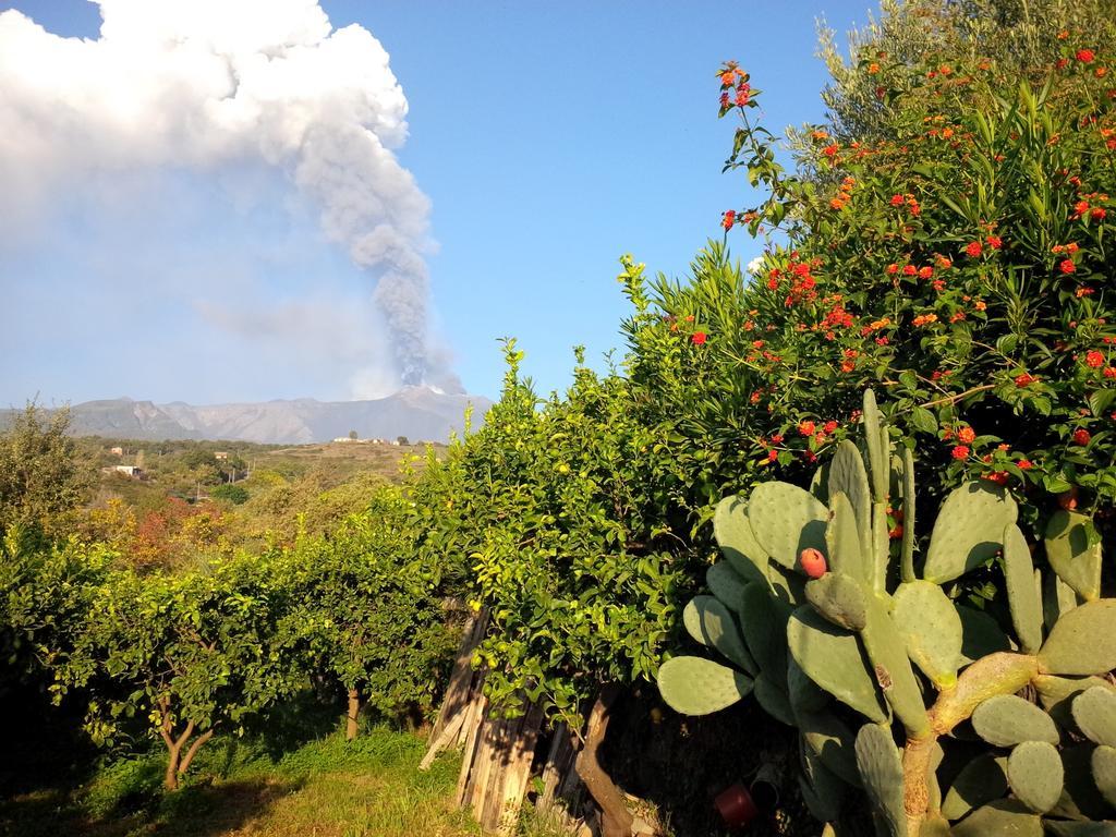 Le Case Di Bacco Santa Venerina Værelse billede